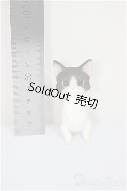 画像2: Heaven Monkey様製/ハチワレ/ A-25-08-13-176-NY-ZA