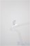 画像2: cocoriang/アイ/0 A-25-08-13-246-NY-ZA (2)