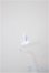 画像2: cocoriang/アイ/0 A-25-08-13-243-NY-ZA (2)