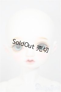 ROSEN LIED/Soph　ホワイトスキン/BJD　球体関節人形 A-25-08-13-211-NY-ZA