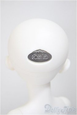 画像4: ROSEN LIED/Soph　ホワイトスキン/BJD　球体関節人形 A-25-08-13-211-NY-ZA