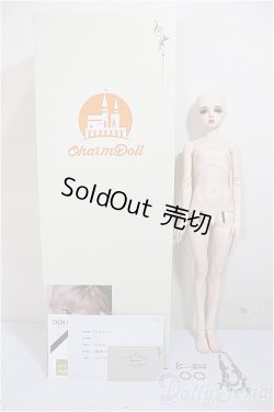 画像8: CharmDoll/Halson/BJD　球体関節人形 A-25-08-20-302-NY-ZA