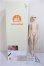画像8: CharmDoll/Halson/BJD　球体関節人形 A-25-08-20-302-NY-ZA