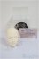 画像4: SWITCH/MUHYUL ノーメイクヘッド/BJD　球体関節人形 A-25-11-26-296-NY-ZA (4)