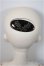 画像4: SPIRIT DOLL/Laurel/BJD　球体関節人形 A-25-08-20-306-NY-ZA