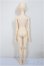 画像6: DREAMING DOLL/Leia/BJD　球体関節人形 A-25-08-20-301-NY-ZA