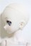 画像2: DDP/D’COORD:DDH-10-MO2-SW(S胸)/BJD　球体関節人形 A-25-08-20-336-KD-ZA (2)