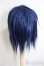 画像3: 9inch/ウィッグ/インチ　BJD　MJD　ドール用 A-25-08-20-357-NY-ZA (3)