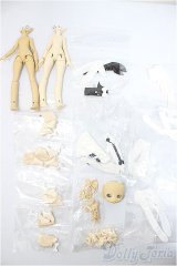一万回の脱出計画シリーズ/クラウドファンディング特典 ボディパーツ+衣装セット/ A-25-08-20-321-NY-ZA