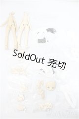 一万回の脱出計画シリーズ/クラウドファンディング特典 ボディパーツ+衣装セット/ A-25-08-20-321-NY-ZA