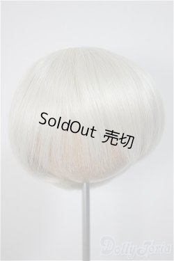 画像1: 8-9inch/ウィッグ/インチ　BJD　MJD　ドール用 A-25-10-22-360-NY-ZA