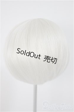 画像2: 8-9inch/ウィッグ/インチ　BJD　MJD　ドール用 A-25-10-22-360-NY-ZA