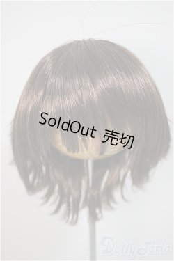 画像1: 8-9inch/ウィッグ/インチ　BJD　MJD　ドール用 A-25-10-22-357-NY-ZA