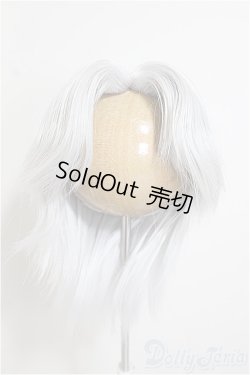 画像1: 8-9inch/ウィッグ/インチ　BJD　MJD　ドール用 A-25-08-20-389-NY-ZA