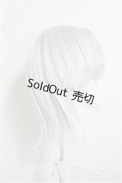 画像4: 8-9inch/ウィッグ/インチ　BJD　MJD　ドール用 A-25-08-20-389-NY-ZA