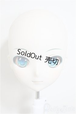 画像1: DD/初音ミク:ヘッド/BJD　球体関節人形 A-25-08-20-383-NY-ZA