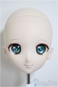 DD/DDH-06:カスタムヘッド/BJD　球体関節人形 A-25-08-20-385-NY-ZA