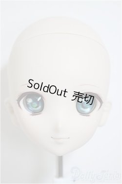 画像1: DD/DDH-06:カスタムヘッド/BJD　球体関節人形 A-25-08-20-385-NY-ZA