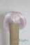 画像1: 4inch/ウィッグ A-25-08-27-013-NY-ZA (1)