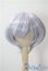 画像1: 8-9inch/ウィッグ U-25-09-02-067-NY-ZU (1)