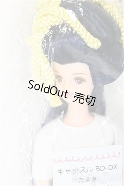 画像1: リカちゃんキャッスル/たまき：キャッスル BD-DX/BJD　球体関節人形 A-26-02-04-401-NY-ZA