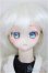 画像1: DDH-10/DDSボディ・衣装 A-25-08-27-188-NY-ZA (1)