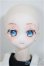 画像2: DDH-10/DDSボディ・衣装 A-25-08-27-188-NY-ZA (2)