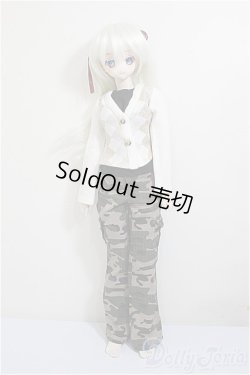 画像5: DDH-10/DDSボディ・衣装 A-25-08-27-188-NY-ZA