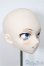 画像2: DDH-05/iodoll様カスタム A-25-08-27-150-NY-ZA (2)