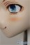 画像5: DDH-05/iodoll様カスタム A-25-08-27-150-NY-ZA