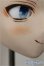 画像6: DDH-05/iodoll様カスタム A-25-08-27-150-NY-ZA