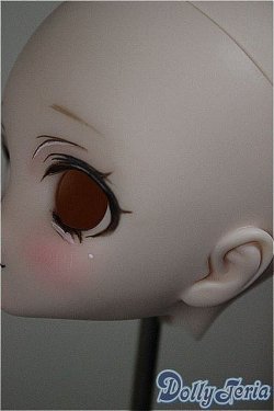 画像6: DD/DDH-27:カスタムヘッド A-25-08-27-140-NY-ZA