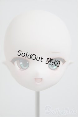 画像1: DD/DDH-01:カスタムヘッド/BJD　球体関節人形 A-25-08-27-248-NY-ZA