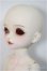 画像3: MYOUDOLL/Lorina A-25-08-27-117-NY-ZA