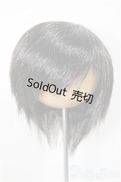 画像1: 8-9inch/ウィッグ　W-171D/インチ　BJD　MJD　ドール用 A-25-08-27-222-NY-ZA