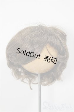 画像1: 8-9inch/ウィッグ　W-163D/インチ　BJD　MJD　ドール用 A-25-08-27-220-NY-ZA