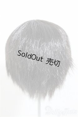 画像2: 8-9inch/ウィッグ　W-163D/インチ　BJD　MJD　ドール用 A-25-10-08-543-NY-ZA