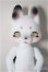 画像1: KUMUKUKU/Marong/BJD　球体関節人形 A-25-08-27-206-NY-ZA (1)