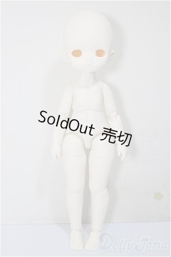 画像1: TinyFox/新1/6スケールドール素体＋X-02/BJD　球体関節人形 A-25-08-27-201-NY-ZA