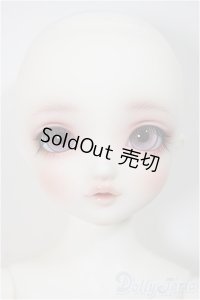 SDM女の子/ここ〜10周年記念Ver.〜　A-25-08-27-351-NY-ZA