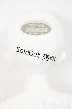 画像4: SDM女の子/ここ〜10周年記念Ver.〜　A-25-08-27-351-NY-ZA