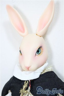 画像1: グルーヴ /サシャ Nuna （ヌナ）/ A-25-08-27-310-NY-ZA