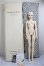 画像7: DREAMING DOLL/Noah A-25-08-27-357-NY-ZA