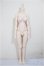画像1: MDD/ベースボディ2.0/BJD　球体関節人形 A-25-09-03-112-NY-ZA (1)
