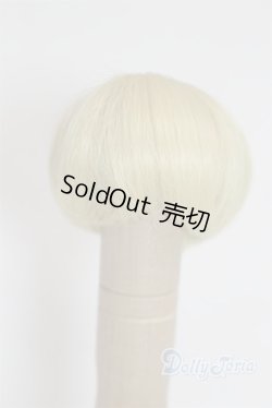 画像1: 5.5inch/ウィッグ A-25-09-10-011-NY-ZA