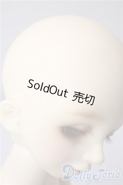 画像6: SDM女の子/F-16：コーディネートモデル U-25-09-02-213-NY-ZU