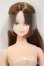 画像1: リカちゃんキャッスル/シオン：おたのしみドール A-25-09-03-216-NY-ZA (1)