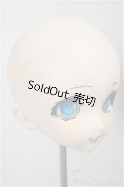 画像2: DD/DDH-10 カスタムヘッド 屋根裏Circus様製 A-25-09-03-234-NY-ZA