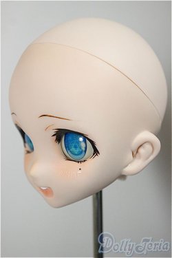 画像3: DD/DDH-10 カスタムヘッド 屋根裏Circus様製 A-25-09-03-234-NY-ZA