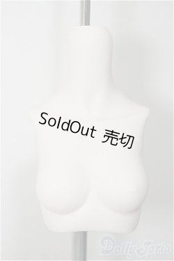 画像1: MDD/上半身パーツ MDD3-B-02M-SW A-25-09-03-246-NY-ZA